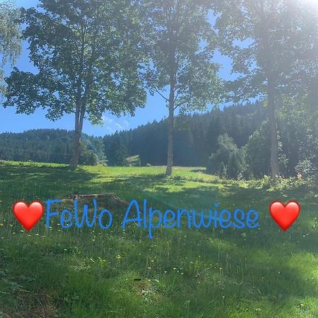 Fewo Alpenwiese Mit Hallenbad&Sauna ميسين-فيلامس المظهر الخارجي الصورة