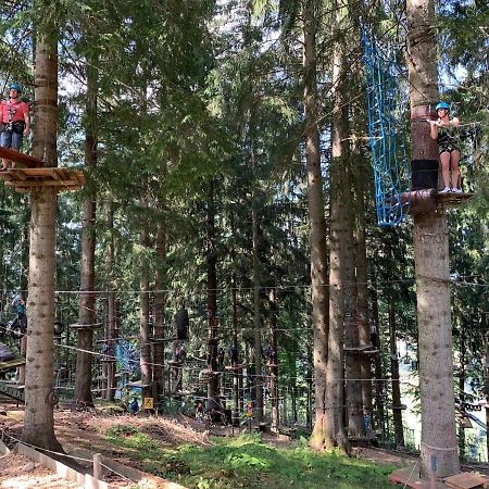 Fewo Alpenwiese Mit Hallenbad&Sauna ميسين-فيلامس المظهر الخارجي الصورة