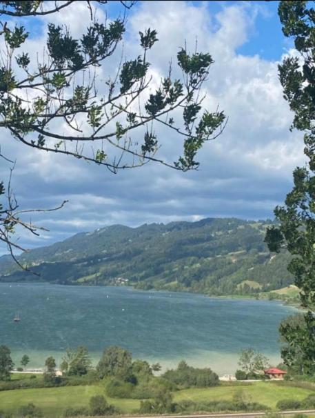 Fewo Alpenwiese Mit Hallenbad&Sauna ميسين-فيلامس المظهر الخارجي الصورة