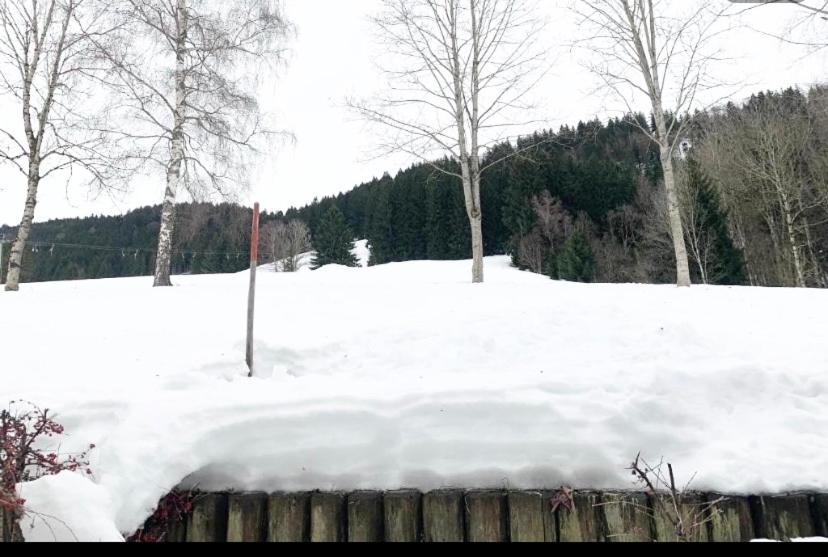 Fewo Alpenwiese Mit Hallenbad&Sauna ميسين-فيلامس المظهر الخارجي الصورة