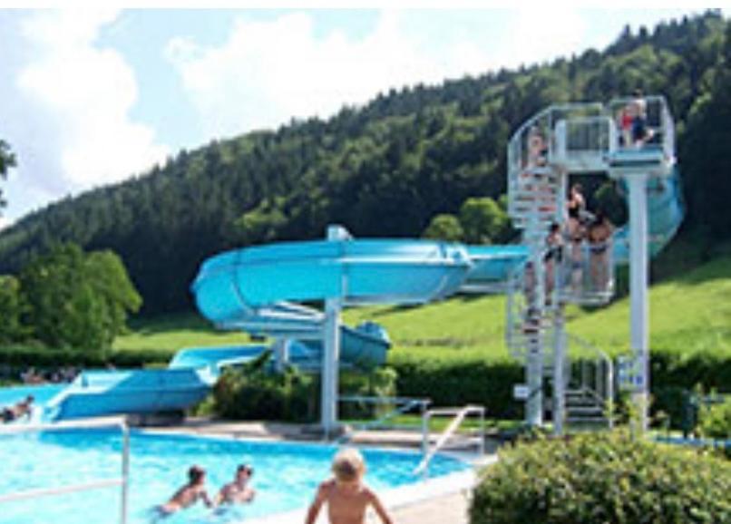 Fewo Alpenwiese Mit Hallenbad&Sauna ميسين-فيلامس المظهر الخارجي الصورة