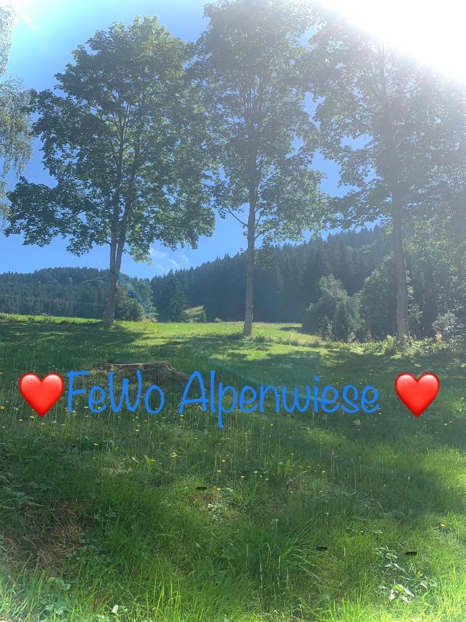 Fewo Alpenwiese Mit Hallenbad&Sauna ميسين-فيلامس المظهر الخارجي الصورة