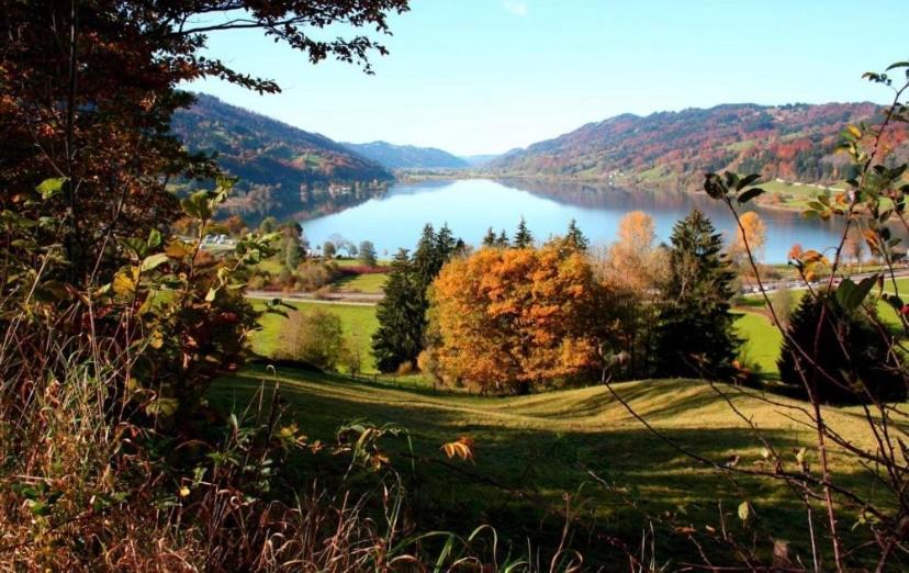 Fewo Alpenwiese Mit Hallenbad&Sauna ميسين-فيلامس المظهر الخارجي الصورة